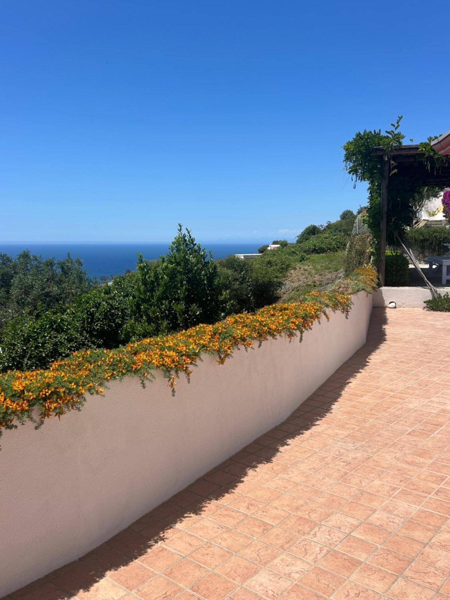 Villa Inarime Ischia Dış mekan fotoğraf