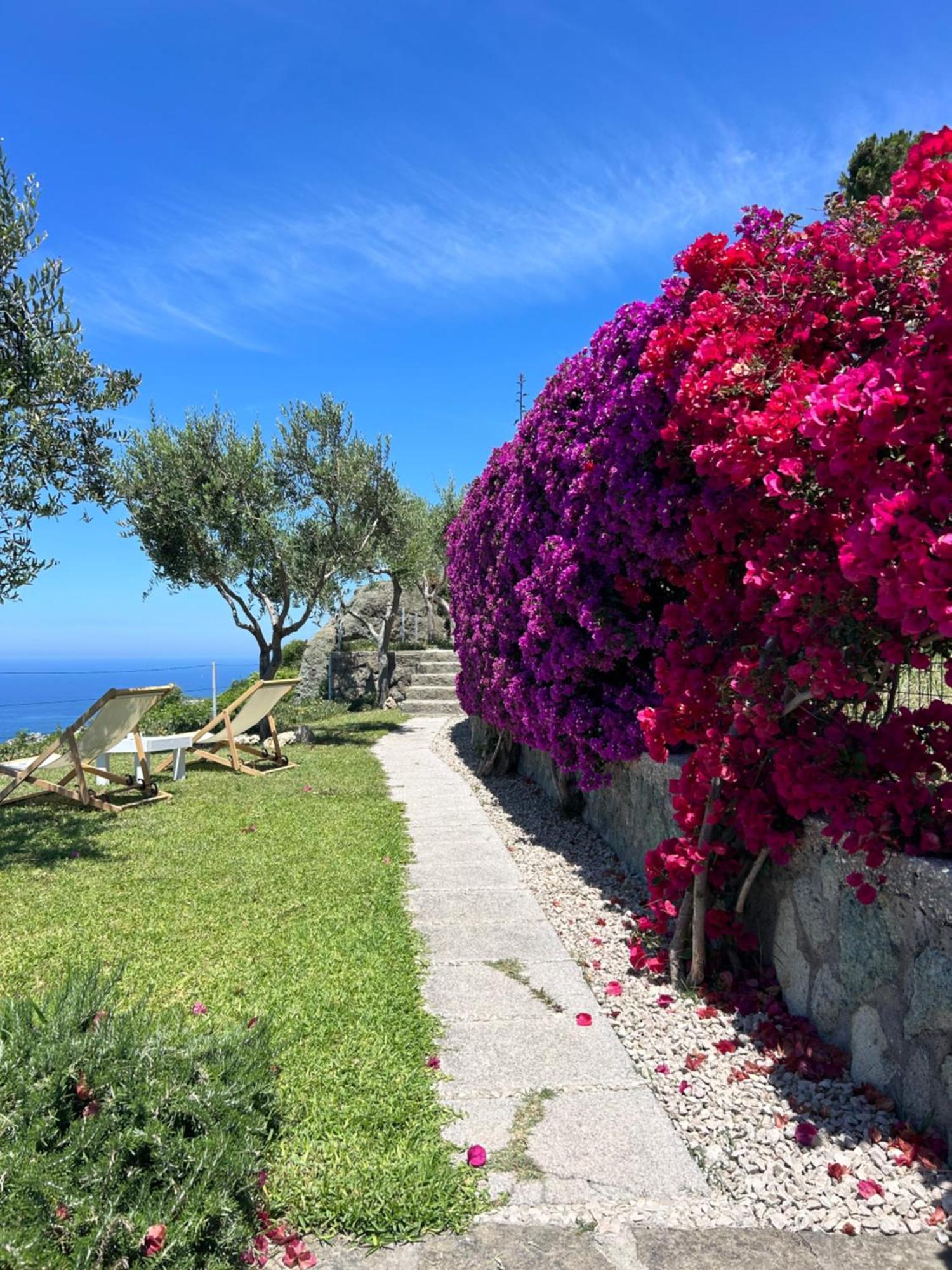Villa Inarime Ischia Dış mekan fotoğraf