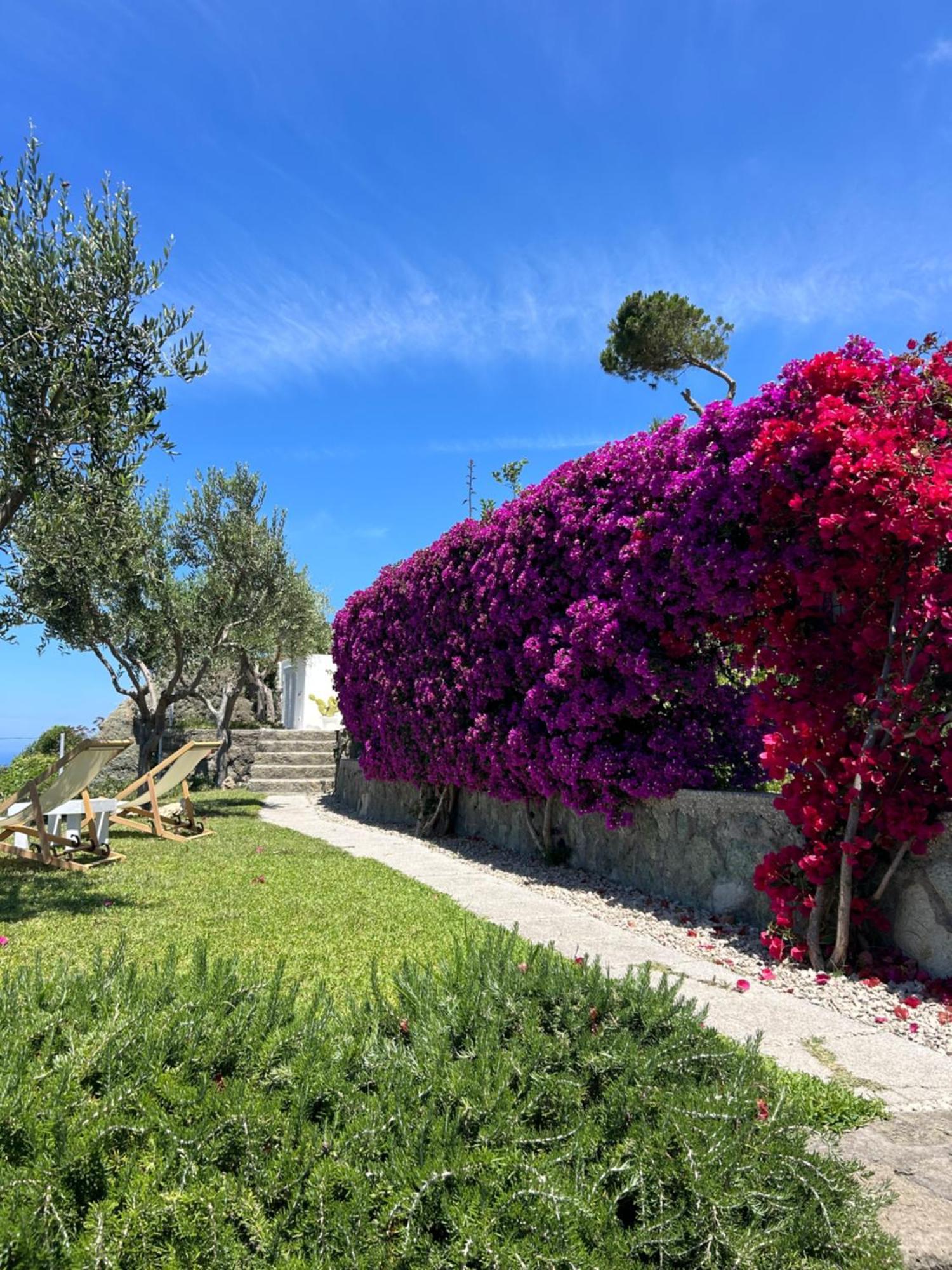 Villa Inarime Ischia Dış mekan fotoğraf