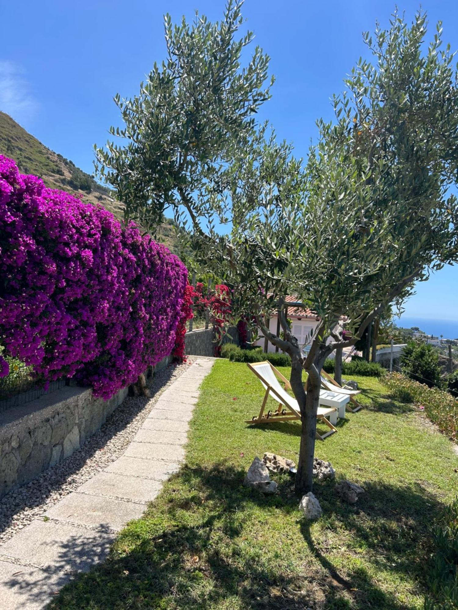 Villa Inarime Ischia Dış mekan fotoğraf