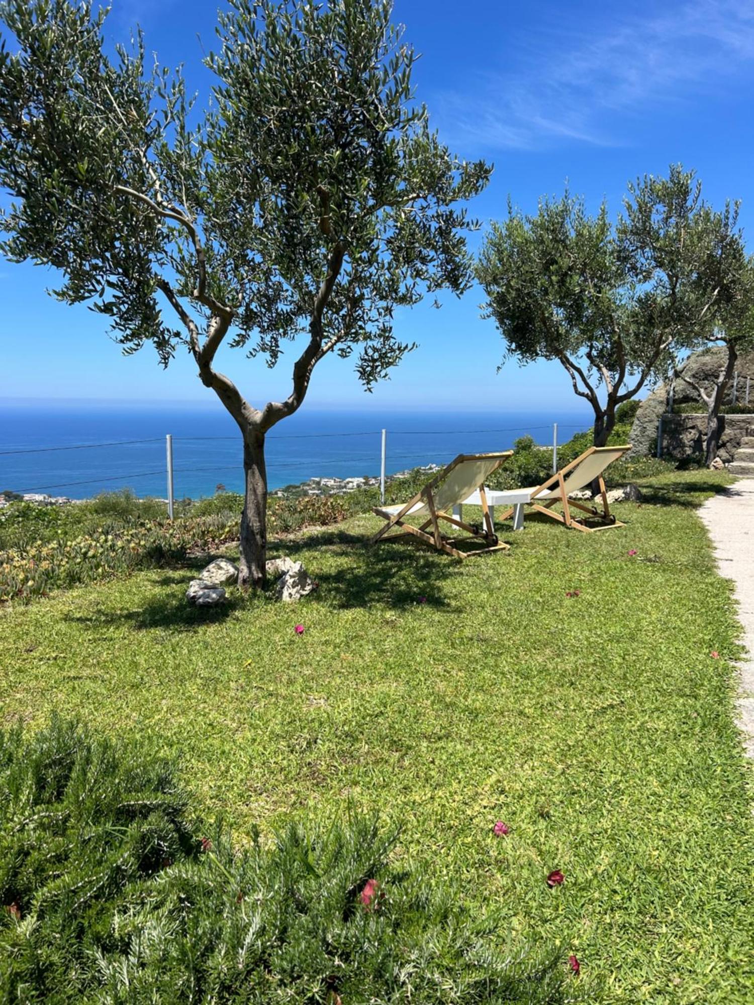 Villa Inarime Ischia Dış mekan fotoğraf