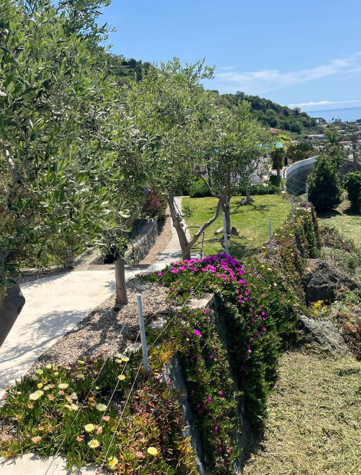 Villa Inarime Ischia Dış mekan fotoğraf